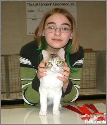 Kibbles - Best Household Pet